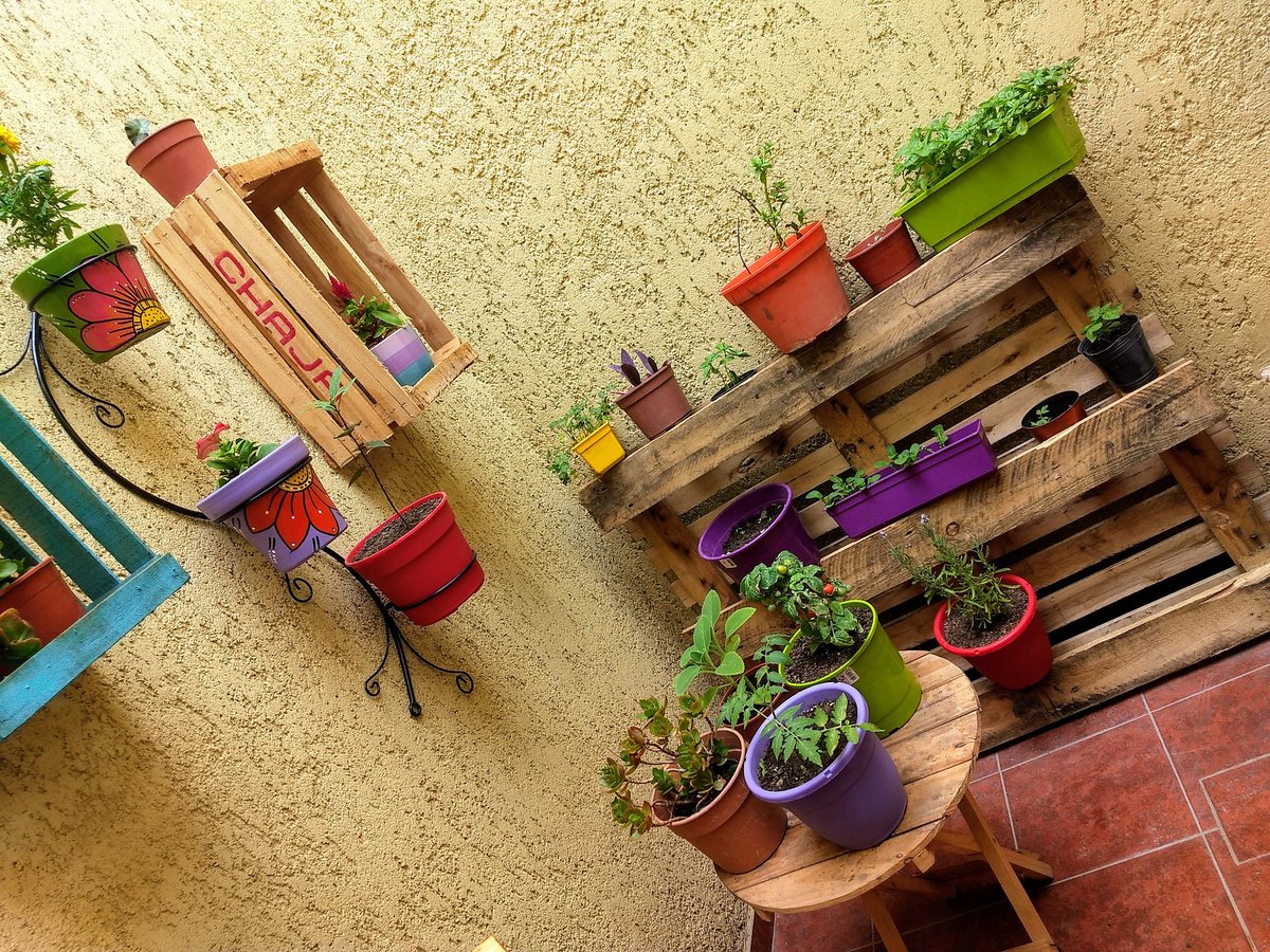 DiegoCoronelMDZ's tweet photo. Felicitaciones Lily y Juli, ganadoras del Concurso #GodoyCruzCultiva 🍅🥕 Su trabajo demuestra que podemos tener una huerta en casa, con mucho o poco espacio; se trata de consumir alimentos saludables, contribuir al ambiente y a la economía. #GCSustentable @MuniGodoyCruz https://t.co/vp0FYWSwHJ