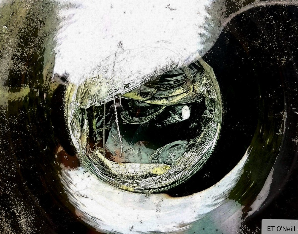 Scrutiny..

Looking afar into emptiness
There's so much to be seen
It's a place of inspiration
Overflowing with a busy buzz
While bands of mingling muses
Rush into their poetic formation
This most secretive language
Decoded only by knowing..
#MypoetryEileen2018 #inapoem606