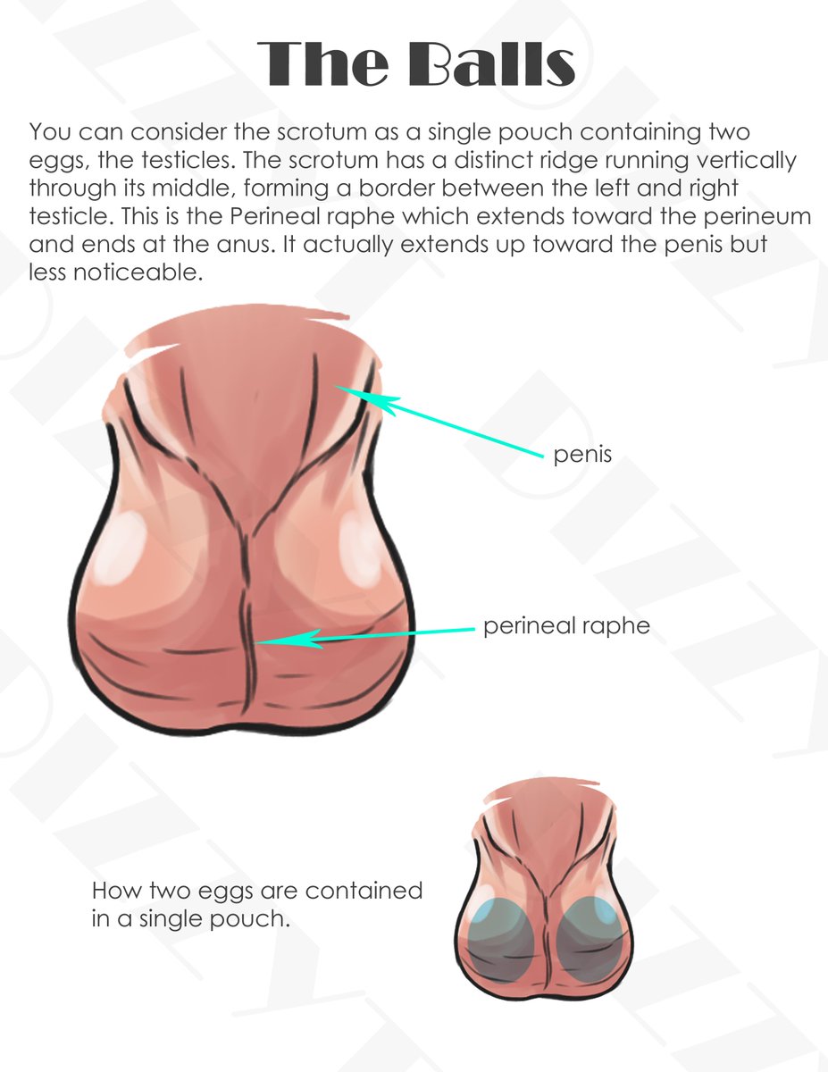 🔞DizzyTea-MemaiOcha | HIATUS tweet media