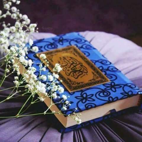 🌺 Talia Hussein 🌺 tweet media