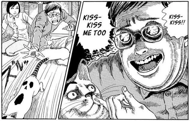 Junji Ito's cat diary is the best thing I've come across today. 