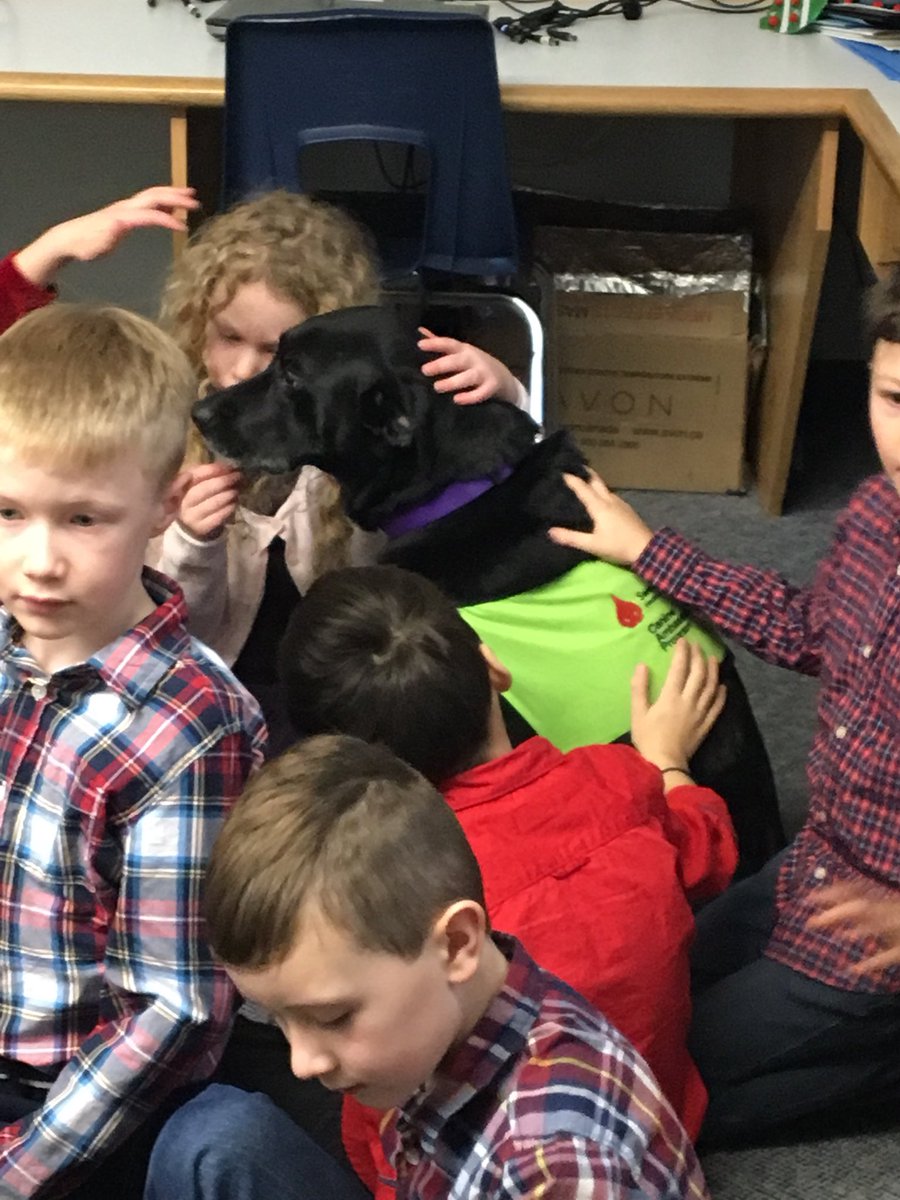 mrsLMarley's tweet photo. Such a magical time listening to our letters back. From the North Pole read over #scdsblive @WyevaleP @WyevaleStella https://t.co/AaqQX3dFeo