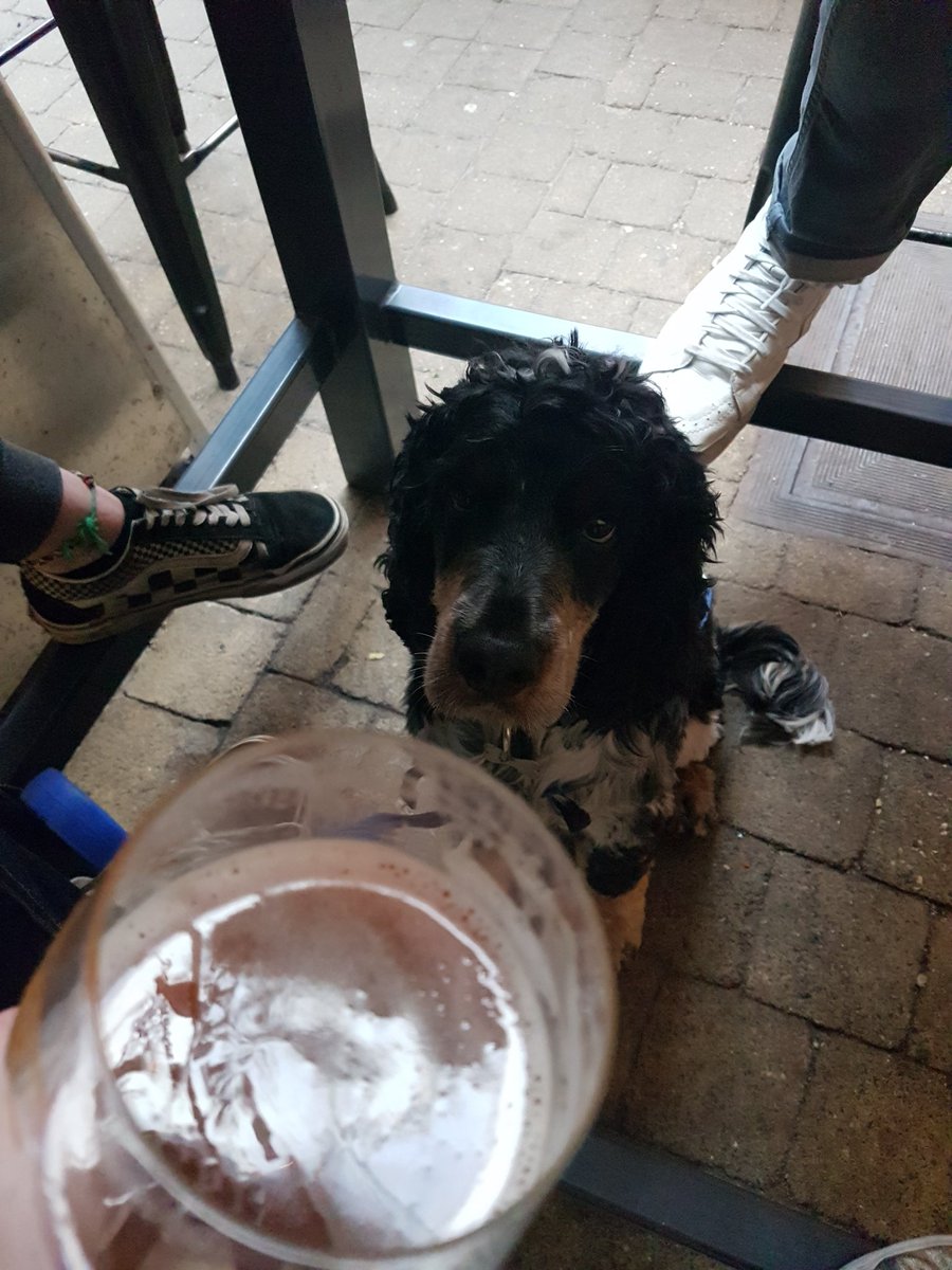 Enjoying a drink #beerwallbruges