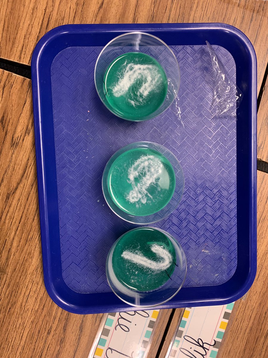 So much fun exploring what will happen to candy canes as they are submerged in different substances! 🔍