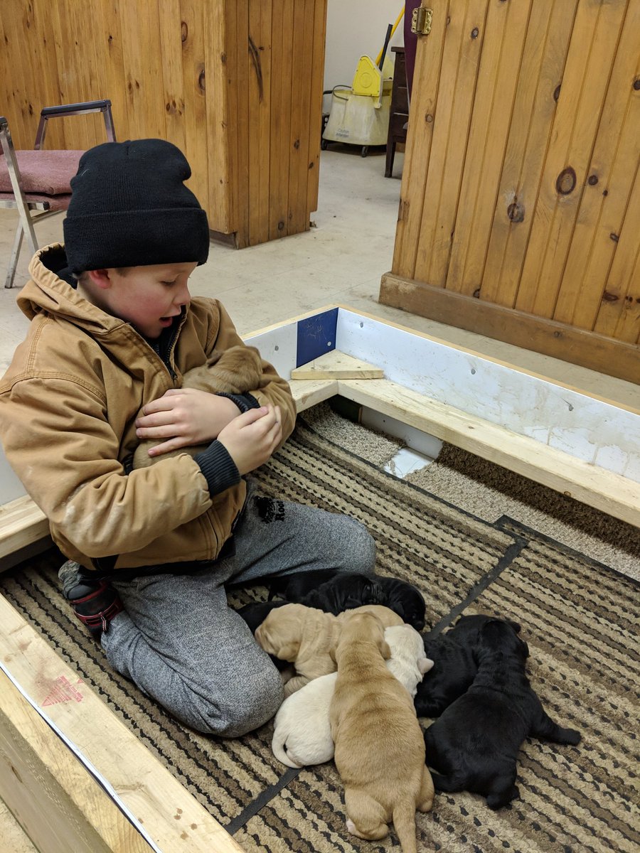Checking on the new puppies before school. I'm thinking they are going to get lots of attention over the next couple weeks while this guy is home.
😊🎄