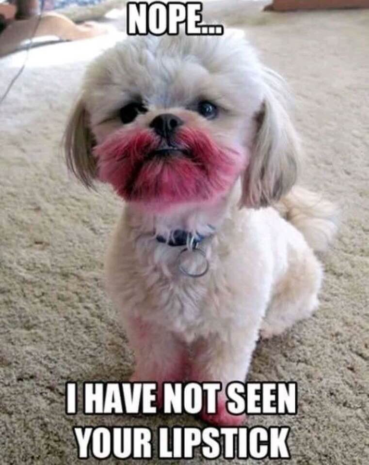 Sigh...🙄. 🤭😆