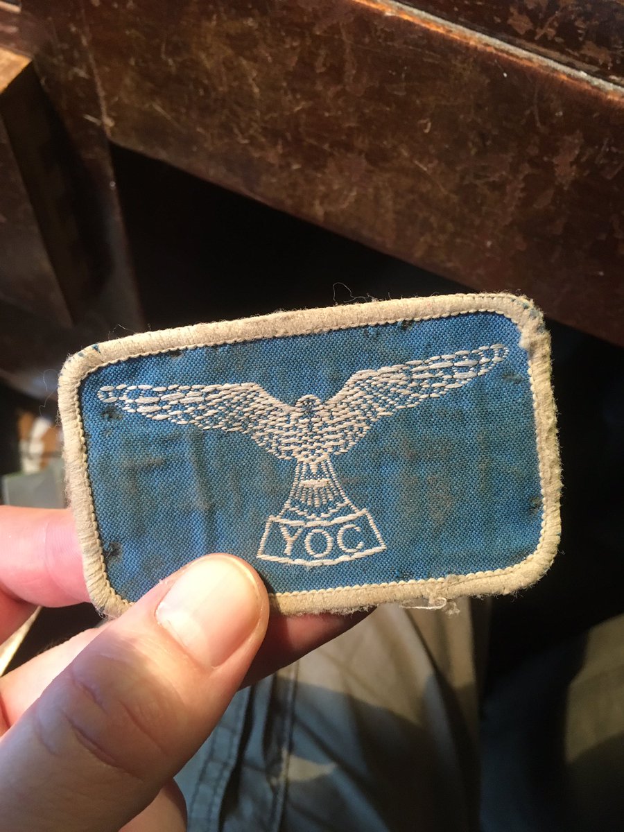 Steven Falk What Was Your First Bird Guide Graeme Mine Was P A D Hollom S Popular Handbook Of British Birds A 10th Birthday Present From My Parents I Still Think It Is