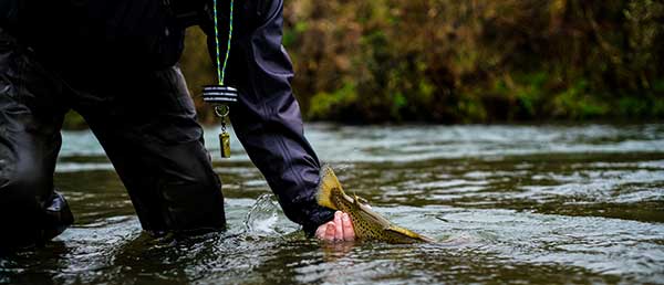 MidCurrent's tweet photo. MIDCURRENT Fly Fishing News - https://t.co/WsN0BhDAYY https://t.co/07Me7crude