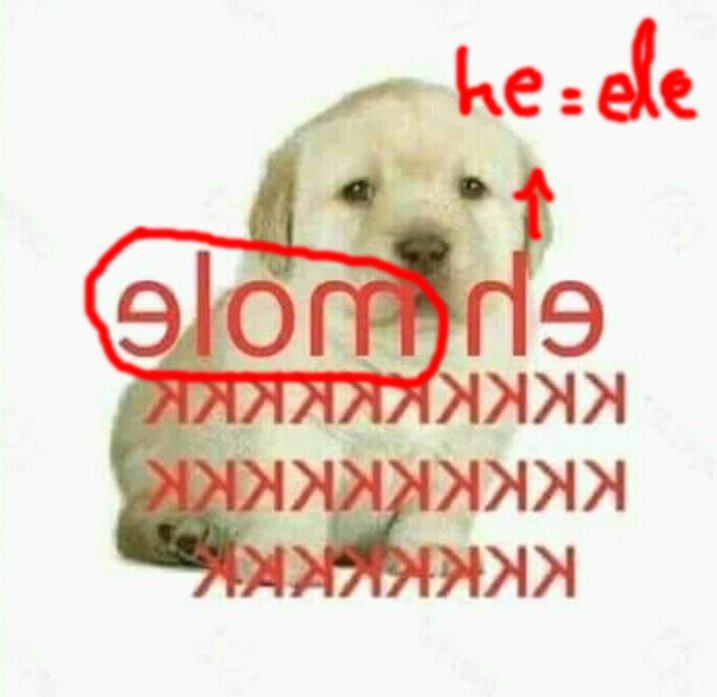 NASA descobre que Elon Musk está por trás do "cachorro eh mole"