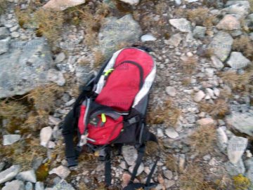 Ver imagen en Twitter