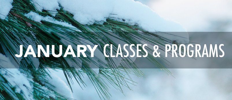 FLASCE's tweet image. We have SO many great classes starting next month! Check out what's starting up in January: conta.cc/2EwVvZT

Reserve your spot today!