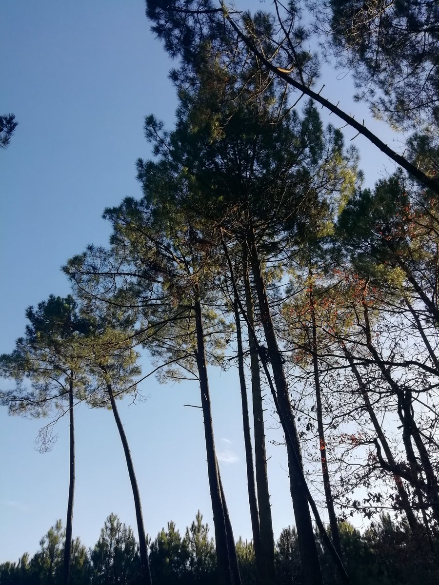 BooksWhen's tweet image. 