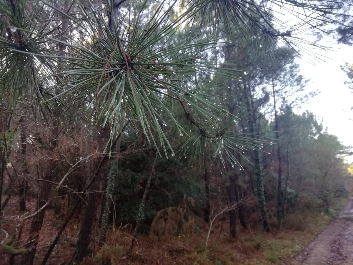 BooksWhen's tweet image. 