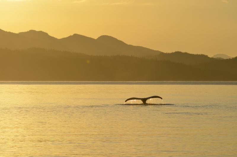 Taku Resort tweet media