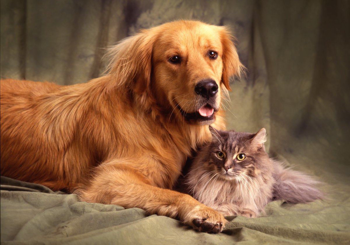 ♡♡♡💚♡♡♡