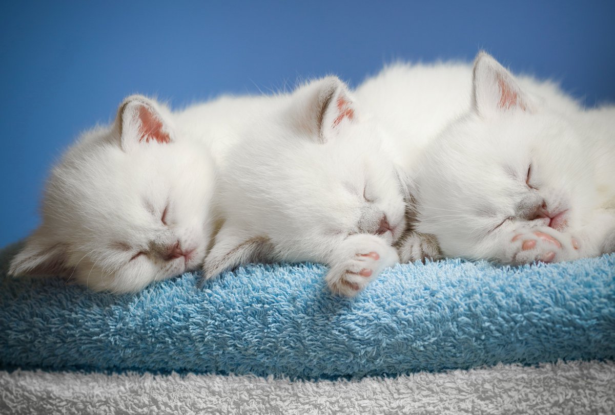 ♡♡♡💙♡♡♡