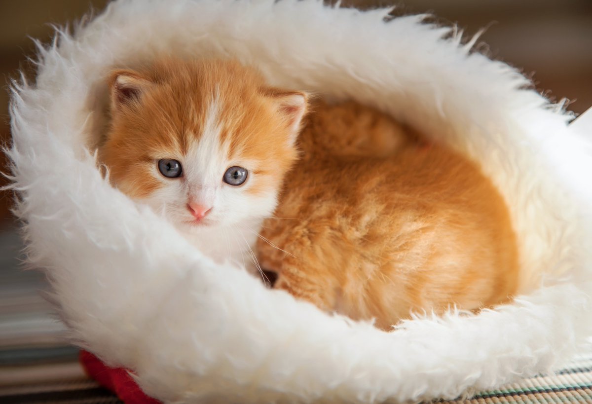 ♡♡♡🧡♡♡♡