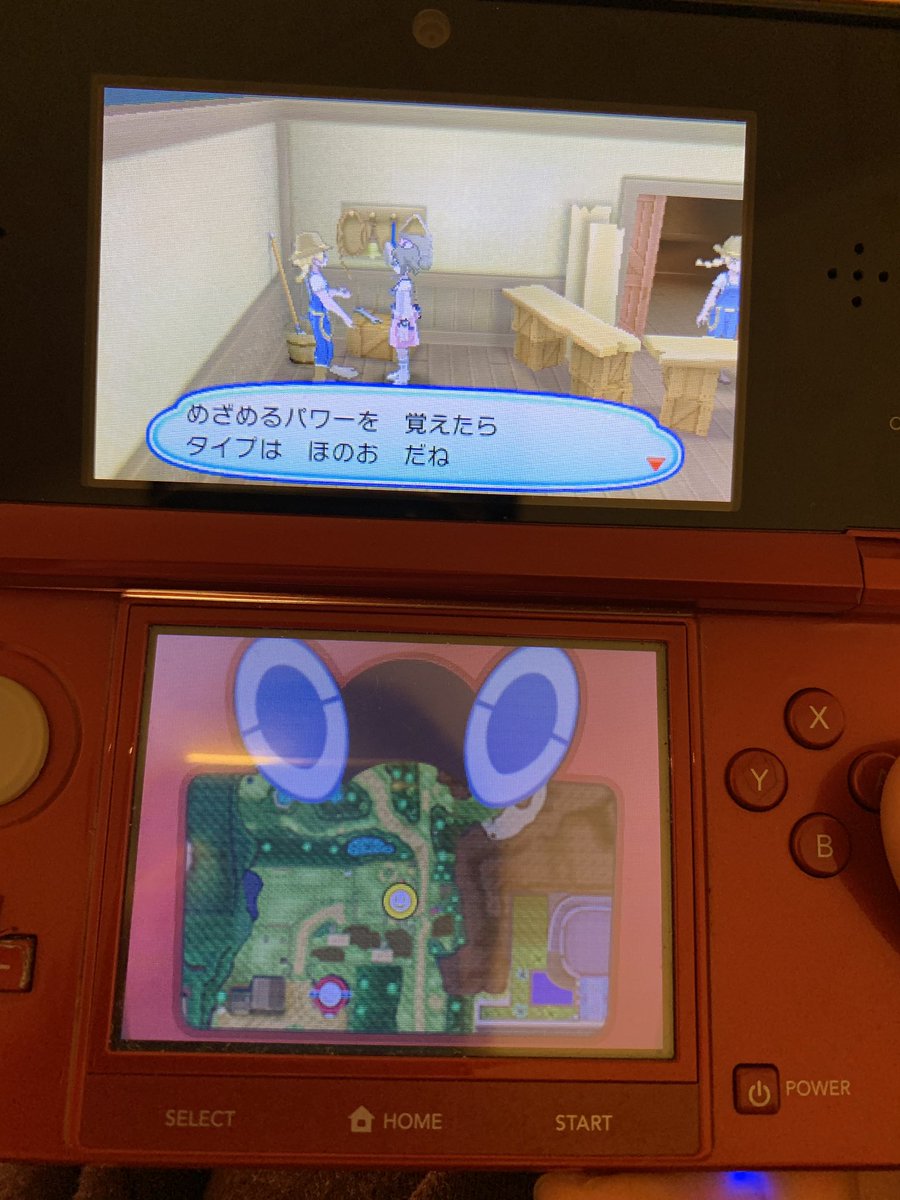 色違いカプ テテフ