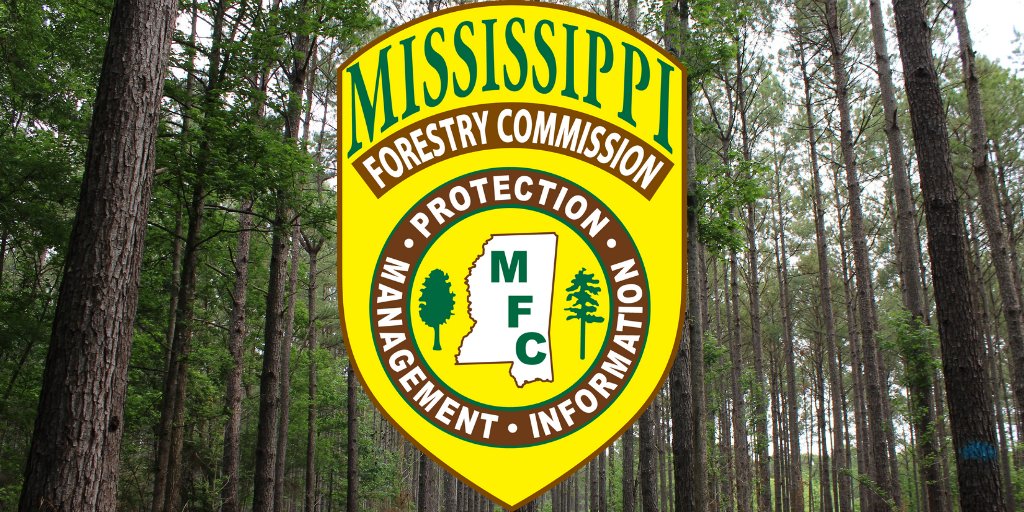 MSForestryComm's tweet image. Appreciate the Associated Press covering our announcement of #Mississippi's new State Forester, Russell Bozeman. As a result, the story has been picked up by media nationwide, including the U.S. News and World Report: usnews.com/news/best-stat… 

#Forestry #MSFire #PeopleofForestry