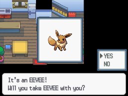 Dray on X: Just like Sacred Gold/Storm Silver, you'll get early access to an Eevee in Renegade Platinum. Eevee now simply evolves by stone usage for all of its evolutions, and you