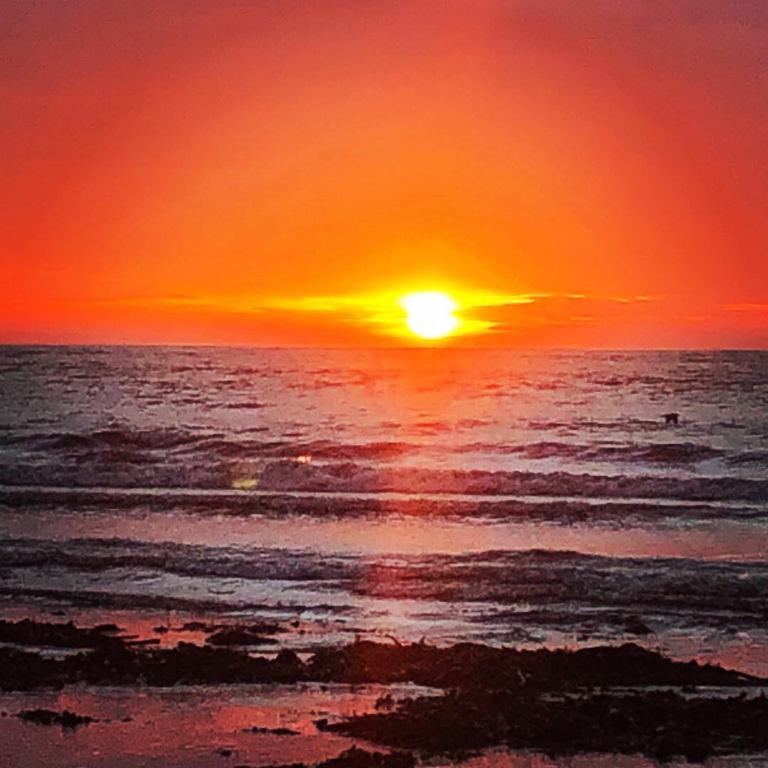 JaneHardlyever's tweet photo. This mornings #sunrise #SeatonPoint #NORTHUMBERLAND @VisitNland @AlnmouthNLD @alnwickgazette @northcoastaonb @NlandPride @N_IFCA @N_landCouncil @moreAlnwick @BDMLR_Newcastle @ALotus_Rises @ImpactPRM @PuffinSwim @AlnmouthGC https://t.co/qwRCh0FhFN