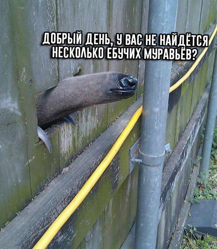 DuyvezGWkAIqRgH.jpg