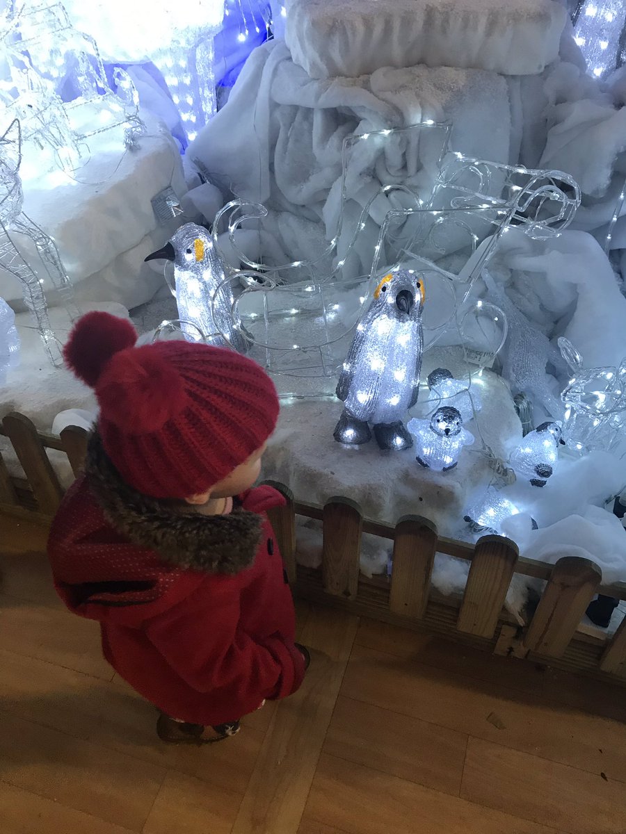 emwalla1979's tweet photo. #verywebbs we had a lovely festive afternoon with you at Wychbold today ❤️ https://t.co/sNHqa5SCbn