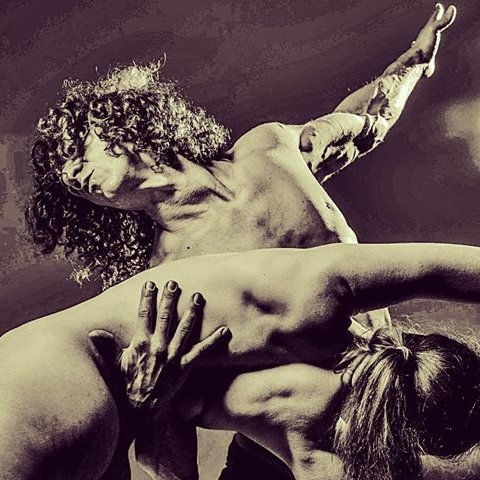 What's On Appleby: Life Drawing Gymnasium Whats on Appleby: Life Drawing Gymnasium