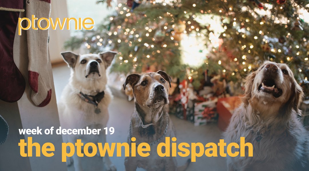 Week of December 19th. The ptownie Dispatch! ow.ly/RCil30n2ZyL
