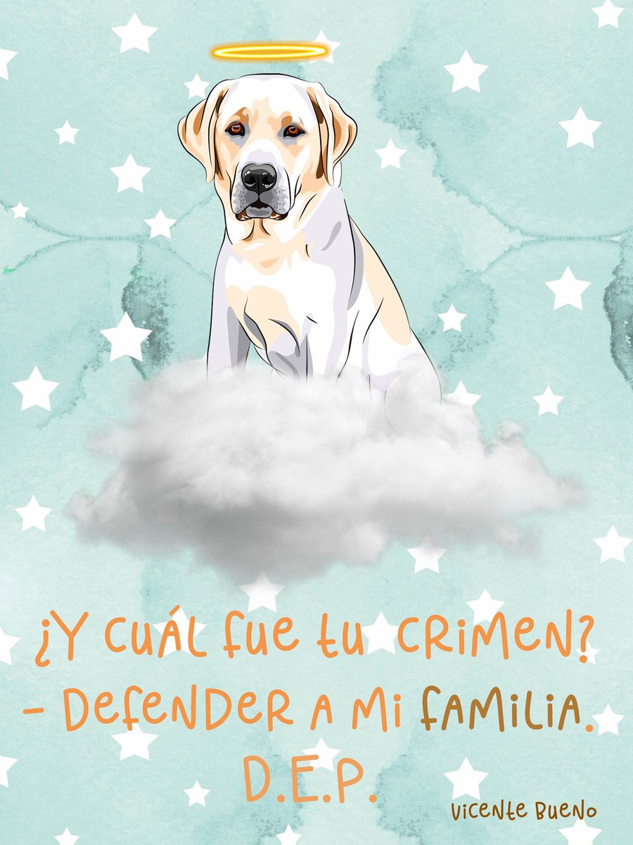 Preciosa la imagen que me han enviado. 
Es de Vicente Bueno García.
#JusticiaParaSota 💔🐶