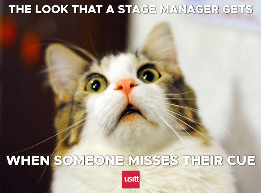 usitt's tweet image. It's a look we hope we rarely have to see...

#StageManagerProblems #StageManagerMemes #StageManagement #TechnicalTheatre #TheatreTechnology