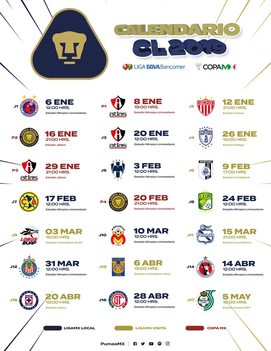 partidos de pumas