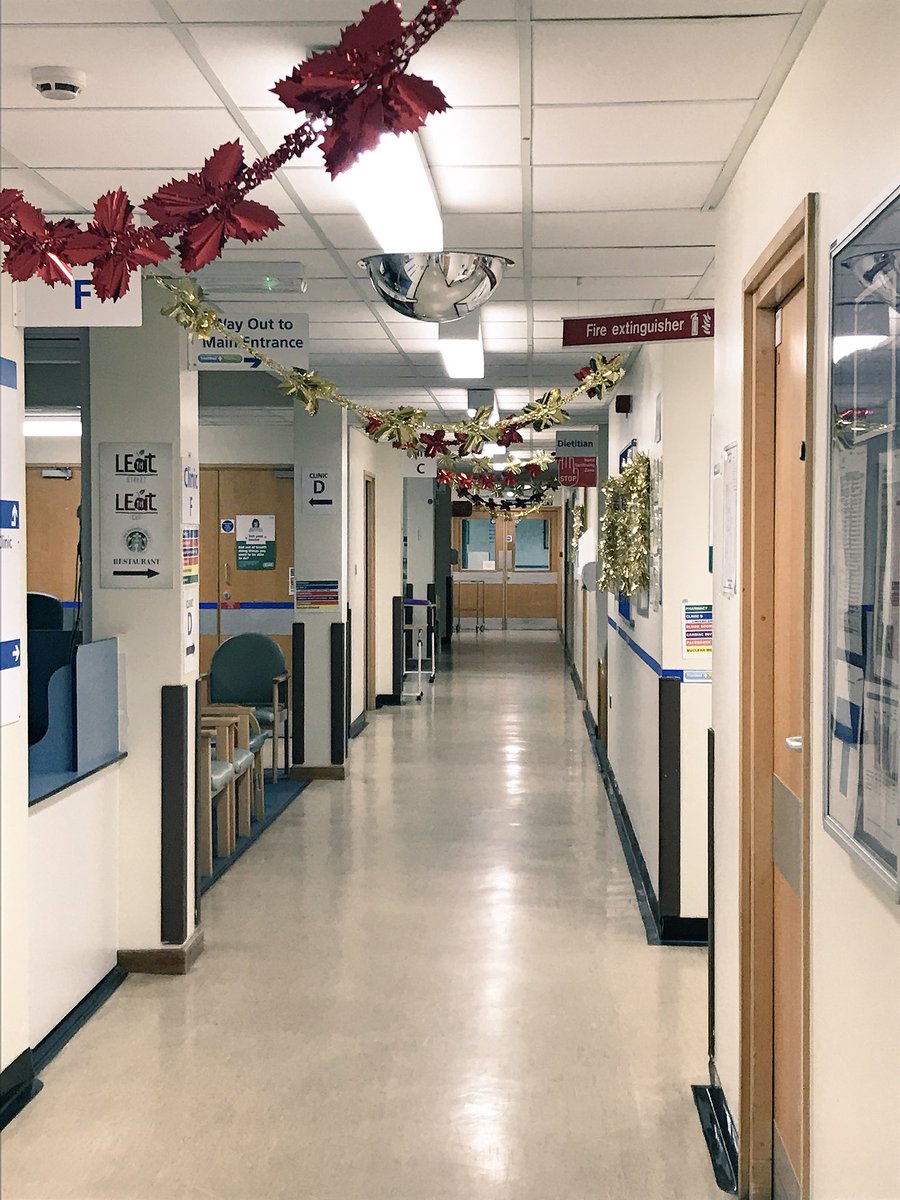 sadiehall74's tweet photo. Thankyou Team GGH for all your hardwork putting up the Christmas decorations, they all look fab. You are🌟#winners #winterwonderland #christmastrees #garlands #bringingcheer #notjustoutpatients @Leic_hospital @gallachez @megnrowe_x @kathywa89196419 @UHLfox @dutton258 https://t.co/FxA0VFLVPZ