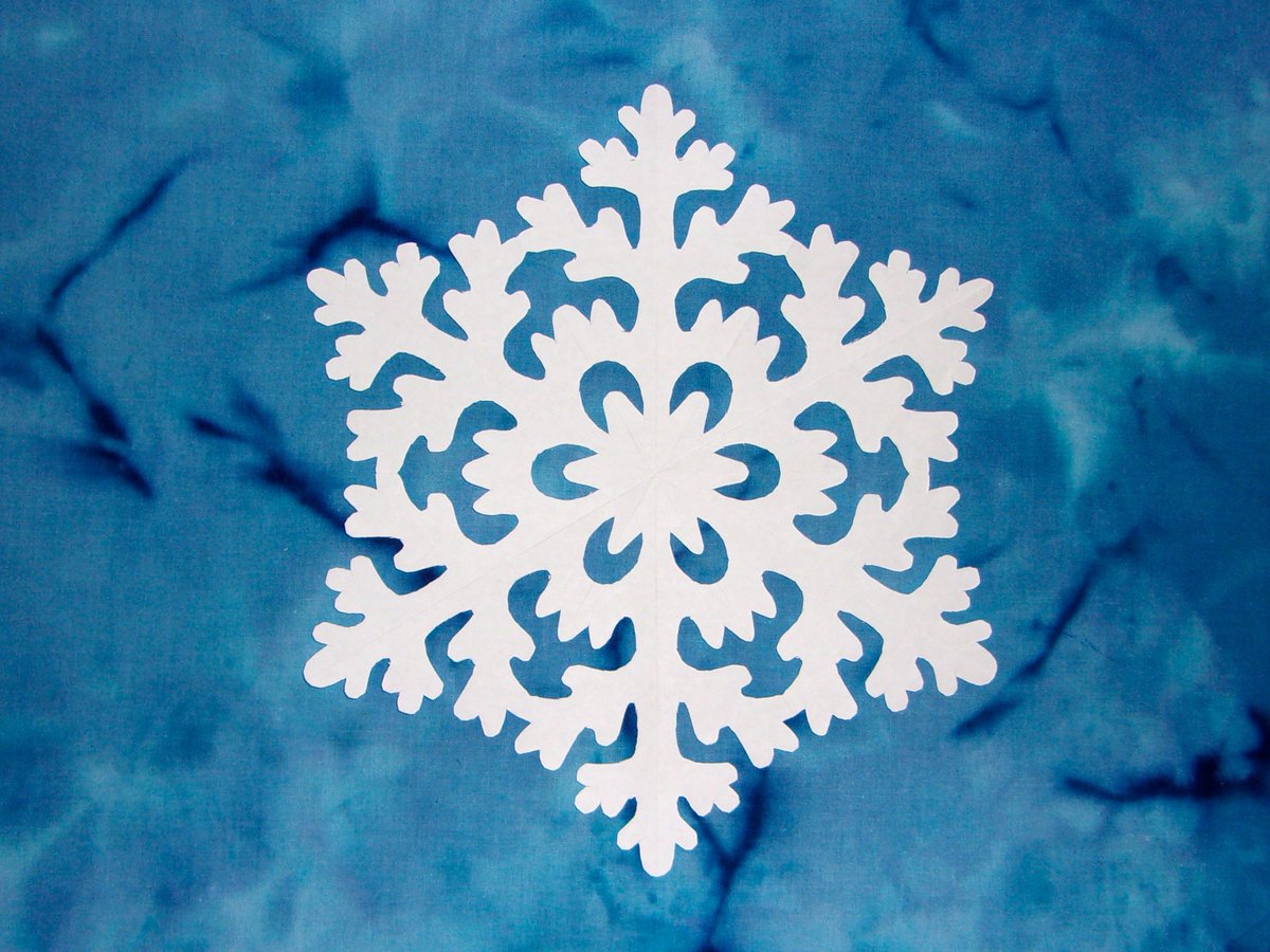 A new favorite! 
Really love this, from the Etsy shop RobertsSnowflakes. 

etsy.me/2CpLnAF 

#etsy #housewares #homedecor #snowflakedecoration #windowsnowflake #homemadesnowflakes #papersnowflakes #windowclings #christmassnowflakes