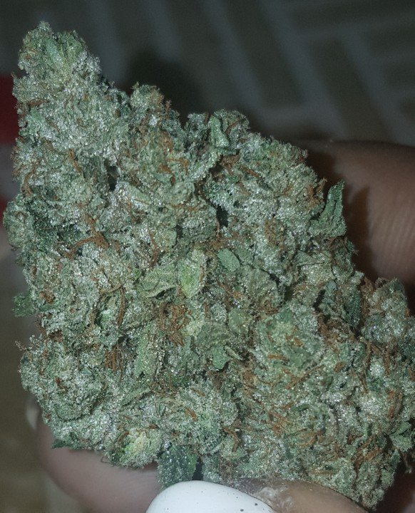 gotdatgreen's tweet image. YA DIGG ! TASTE THIS ! #NOFILTER

RT @CANTDEALDOTKOM: #420day @gotdatgreen