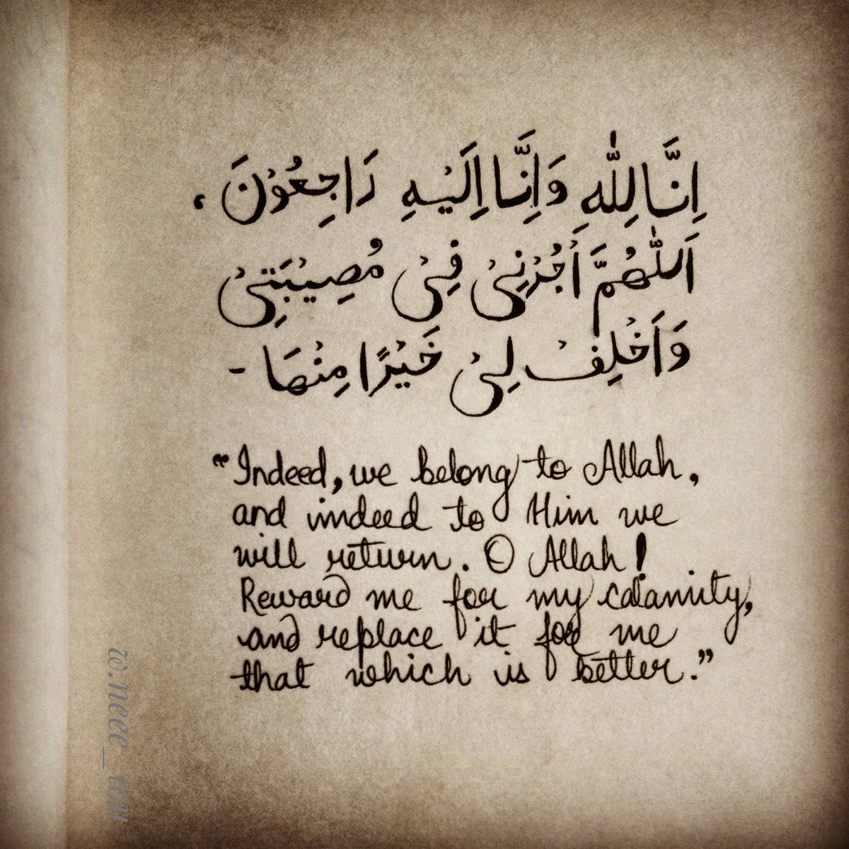 Nymphaealbaa's tweet photo. @BiyaAli9 https://t.co/BzCZyrwRdZ