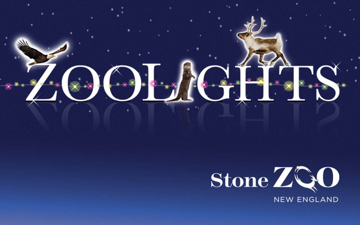 Experience a whimsical winter evening, with thousands of twinkling lights at <a href="/zoonewengland/">Zoo New England</a> #ZooLights. #WeekendLikeaLocal #HiltonsofBoston po.st/0oVhvl
