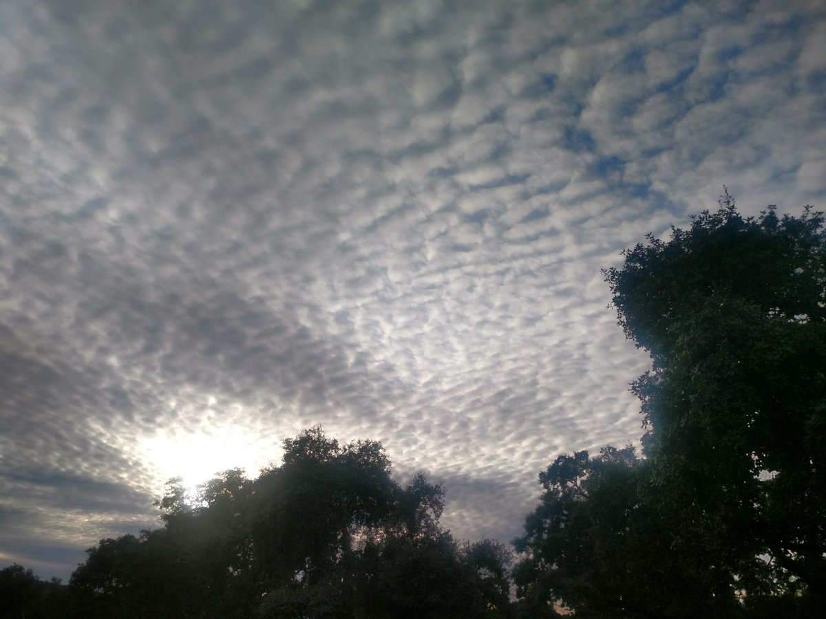 RanchalAntonio's tweet photo. Cuando el vuelto al #Moralejo me ha recibido este cielo. https://t.co/OJrXjNlJOG