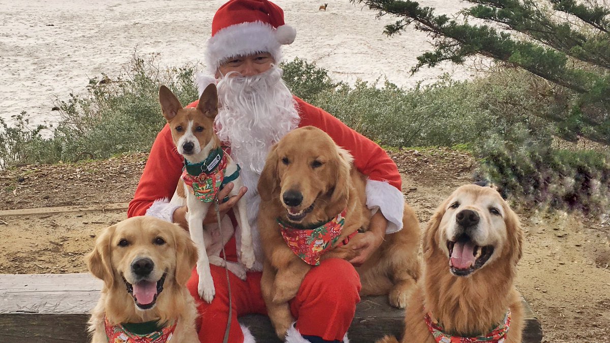 HO HO HO! PAWsome #dogbeach #SantaPhoto with Surfin’ #Santa + my #pawpals 🎅🏻🐾 #HappyPawlidays