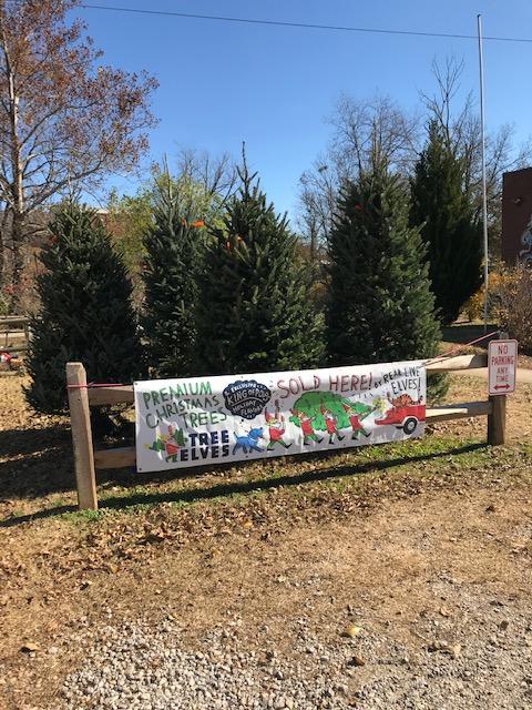 Get a Tree for 50% OFF Now at our <a href="/TreeElves/">TreeElves</a> Holiday Lot by the Swamp Rabbit Cafe and Grocery! There's still a couple of lonely trees left that need a home. #kingofpopsgvl

Open Monday - Friday @ 3pm till dark
Sat &amp; Sun: 9am till dark.