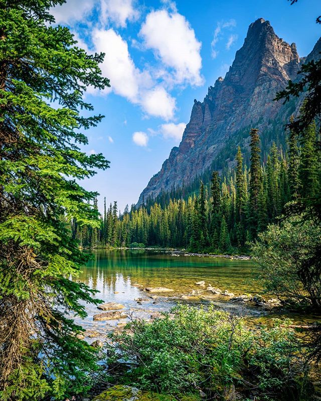 TaoWander's tweet photo. Reposting @zdravkophotography:
The amazing scenery in Yoho National Park on the Lake Ohara Trail!
.
.
.
#britishcolumbia #wowbc #hellobc #mountain #Nature #adventure #outdoors #trail #discoverbc #bcisbeautiful #nationalpark #lake #travel #neverstopexploring #wanderlust #bpmag https://t.co/D1yVgnuNik