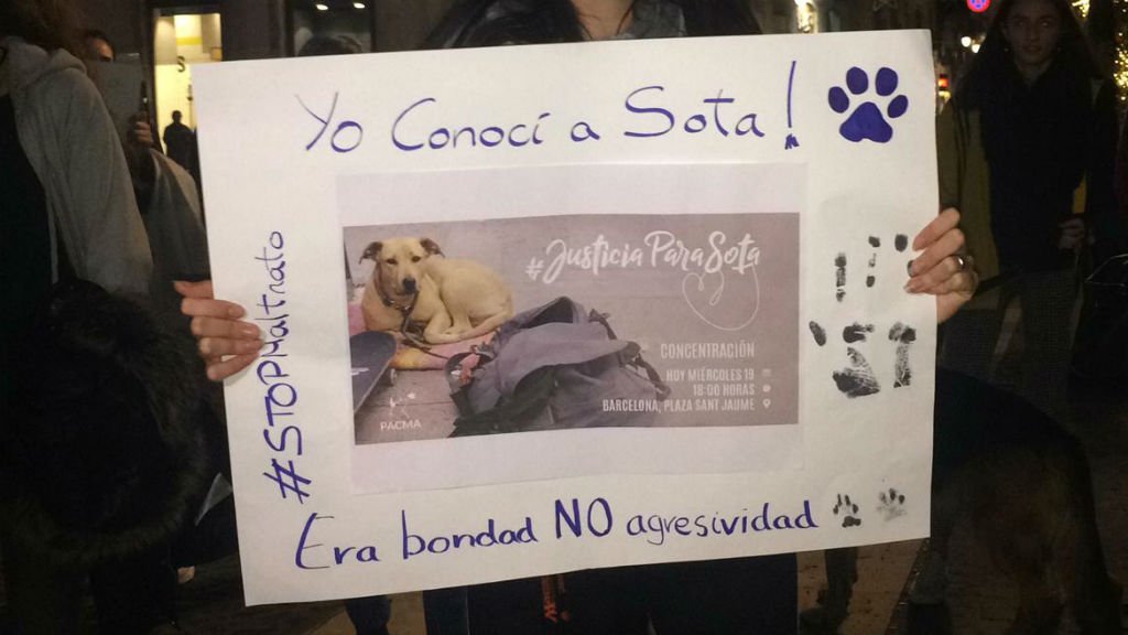 btvnoticies's tweet photo. Unes 300 persones s’han concentrat a la plaça de Sant Jaume per denunciar la mort de la gossa Sota
https://t.co/aCDv00CXH0 https://t.co/oYnnHaX8ca