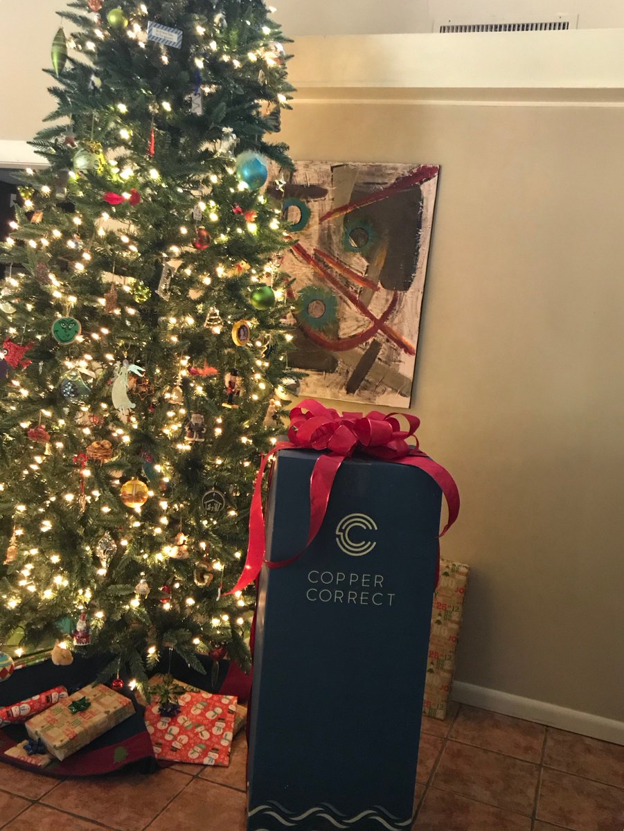 LewTempleActor's tweet photo. "Oh Christmas Sleep, Oh Christmas Sleep" so "nestled all snug in their beds" probably getting a good nights sleep @CopperCorrect a great "Stocking Stuffer"
#GetCorrect #KeepCool https://t.co/wpi1L6dGlj