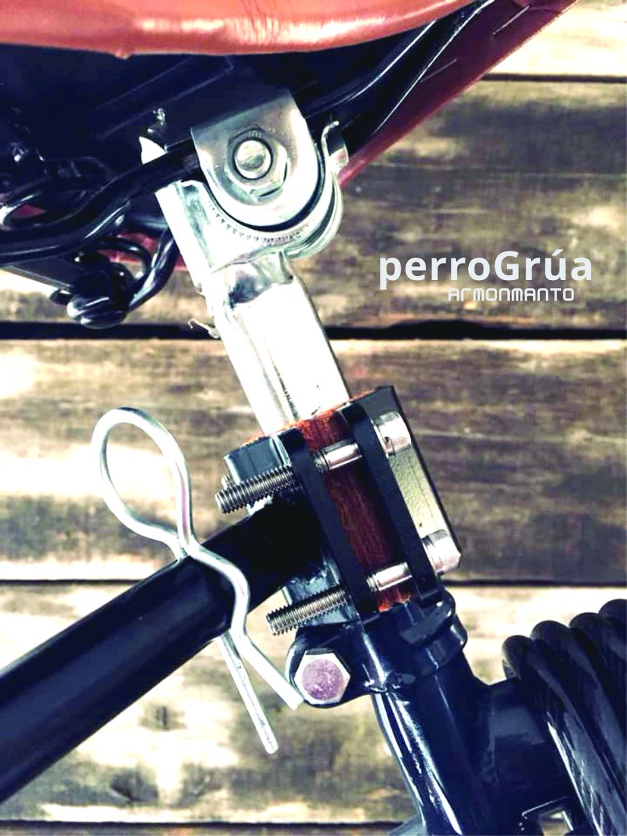 armonmanto's tweet photo. #perrogrua #armonmanto #doglovers #Dog #labrador #bike #bicicleta https://t.co/oCWe7W6Rfn