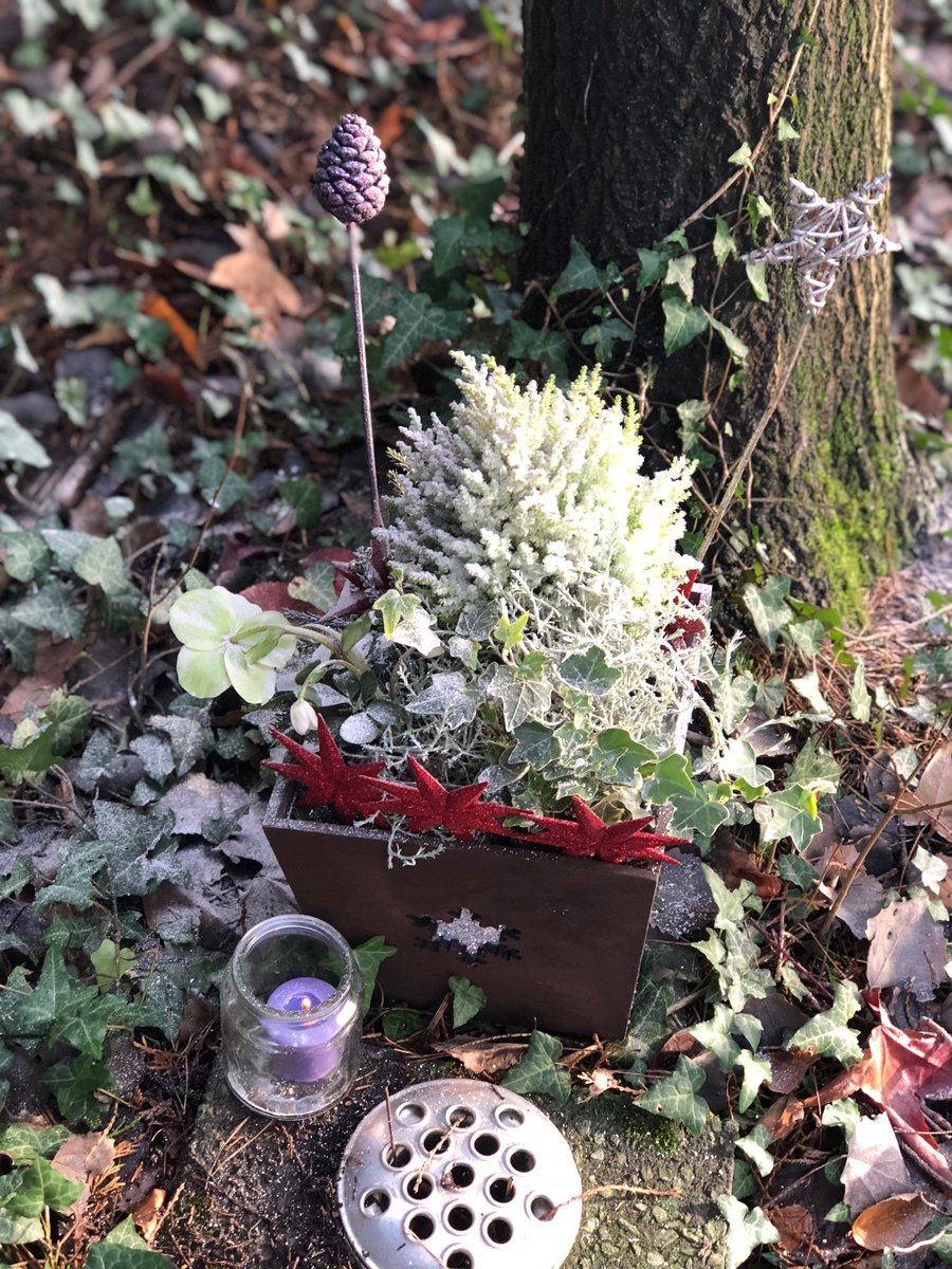 💜Alex.... 1 year since you left 💔...
You know that place between sleep and awake, that place where you can still remember dreaming? That's where I'll always love you ❤️That's where I'll be waiting-Peter Pan. XXX