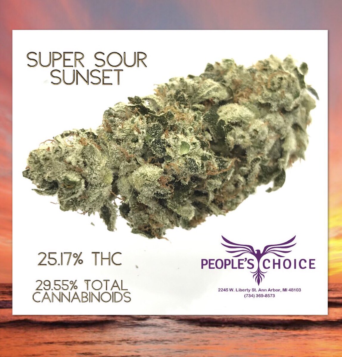 pcamedicinea2's tweet photo. Our Strain of the Day is this delicious Super Sour Sunset! 🍋 🌅 It’s a hybrid testing at 25.17% THC &amp; 29.55% total cannabinoids 🔥  #michigancannabis #mmmp #michiganmedicalmarijuana #medicalmarijuana  #mmmp  *MEDICAL MARIJUANA - for use only by registered qualifying patients* https://t.co/SypUrzVjk9
