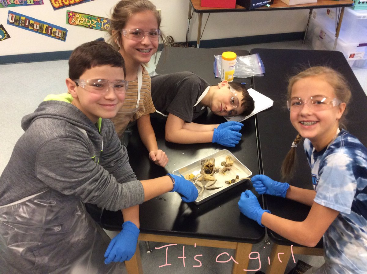 M_Hallman_OJH's tweet photo. What’s “hoppining” Dr. B.? @Ms_Gaj_OJH https://t.co/Gh3CX3gc9F
