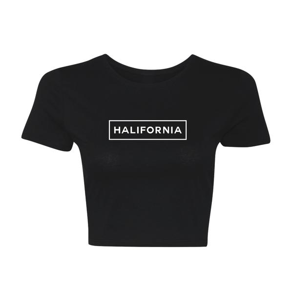 EdMinist's tweet photo. Buy this HALIFORNIA BOX LOGO CROP TOP BLACK now from
https://t.co/b4b6oZBzcg for $69.
Enter code - KUSHANKK111033620 &amp; get 20% discount.
#clothing
#woman #girlswear #girlswillbegirls #womansmart #edmfamily #edmlifestyle #BuyNow #discount #BestBuy #croptop #GirlsManiax https://t.co/lgrB7vEICv