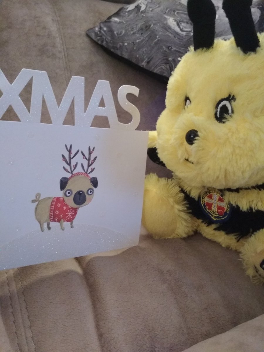 BuchanBee's tweet photo. Look at this funny looking reindeer that I found today - I wonder if I can get antlers like that...?! #ambassabeeADVENTures #beechallengeday19 #GBisThePlaceToBee @GBSChiefExec @gbinscotland https://t.co/2YGFO2UumY