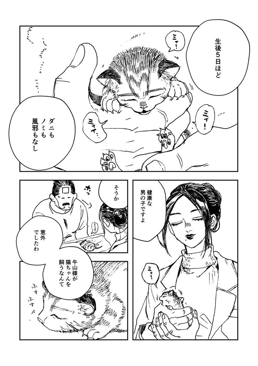 これはおそらく出るだろう…ということで暫定のサンプルではありますが1/13の大阪インテ黄金暗号3にて牛先生が猫の尾を拾う現パロ本を出します。A5/40P/500円での頒布を予定しております。持ち込み部数の参考にさせていただきたいので、よろしかったらツリーのアンケートにご協力下さい。 